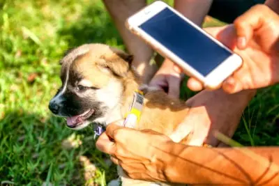 imagen sobre el servicio