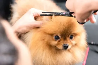 imagen sobre el servicio